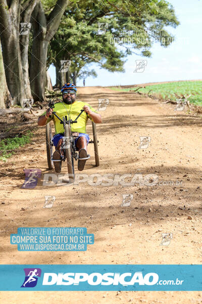 10º Caminhos de São José