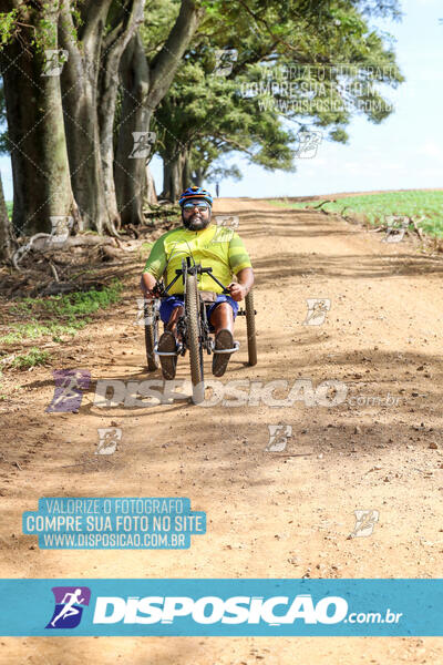 10º Caminhos de São José