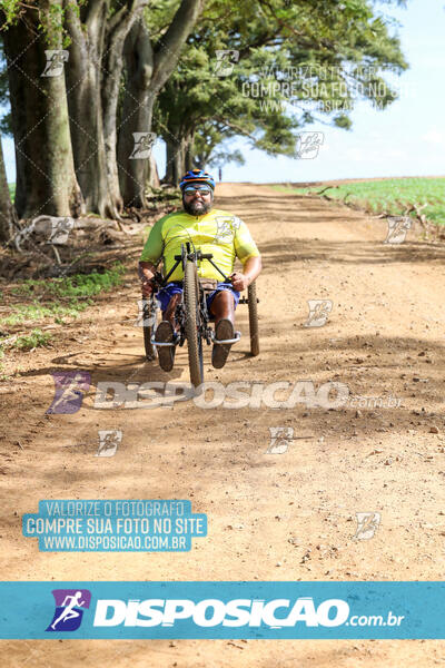 10º Caminhos de São José