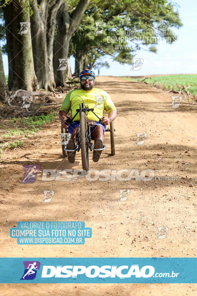 10º Caminhos de São José