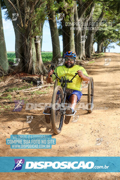 10º Caminhos de São José