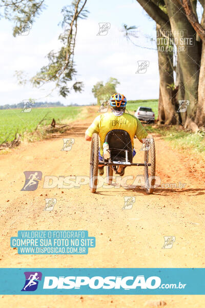 10º Caminhos de São José