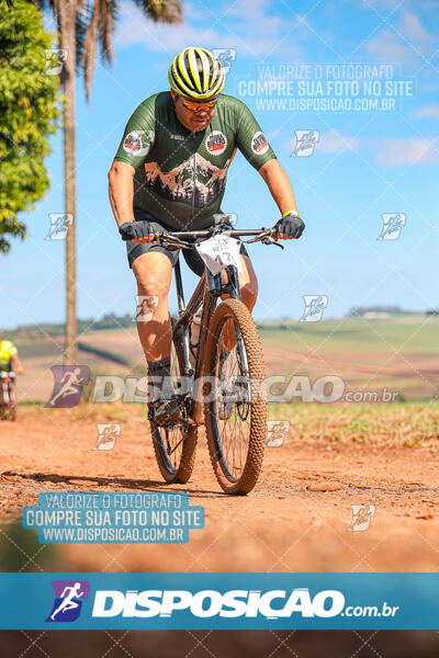 10º Caminhos de São José