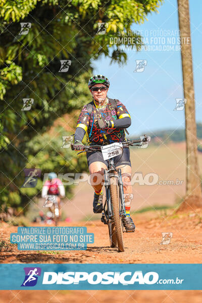 10º Caminhos de São José