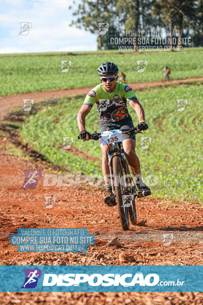 10º Caminhos de São José