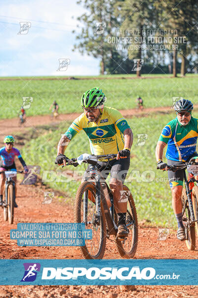 10º Caminhos de São José