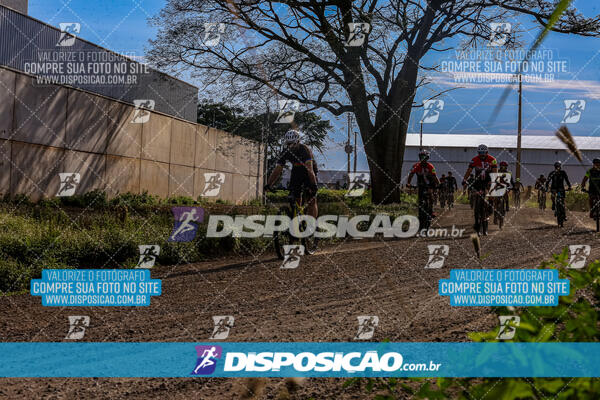 3º CIRCUITO DE PEDALADA E CAMINHADA DE MANDAGUARI