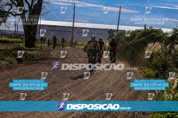 3º CIRCUITO DE PEDALADA E CAMINHADA DE MANDAGUARI