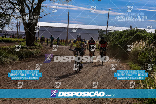 3º CIRCUITO DE PEDALADA E CAMINHADA DE MANDAGUARI