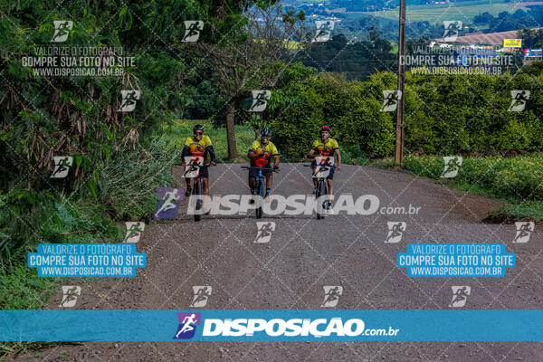 3º CIRCUITO DE PEDALADA E CAMINHADA DE MANDAGUARI