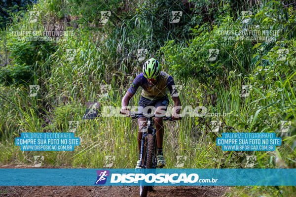 3º CIRCUITO DE PEDALADA E CAMINHADA DE MANDAGUARI