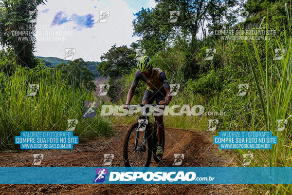 3º CIRCUITO DE PEDALADA E CAMINHADA DE MANDAGUARI