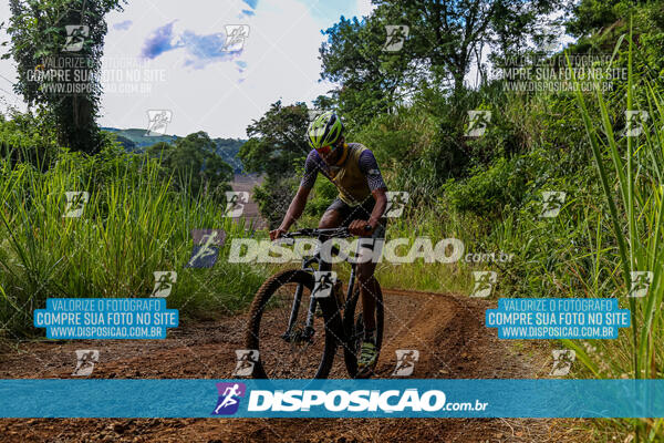 3º CIRCUITO DE PEDALADA E CAMINHADA DE MANDAGUARI