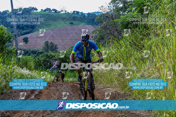 3º CIRCUITO DE PEDALADA E CAMINHADA DE MANDAGUARI