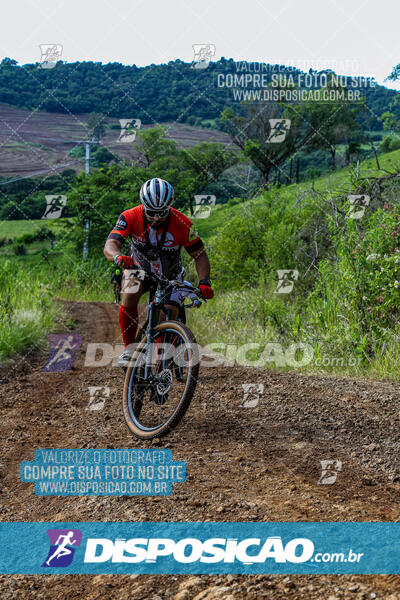 3º CIRCUITO DE PEDALADA E CAMINHADA DE MANDAGUARI