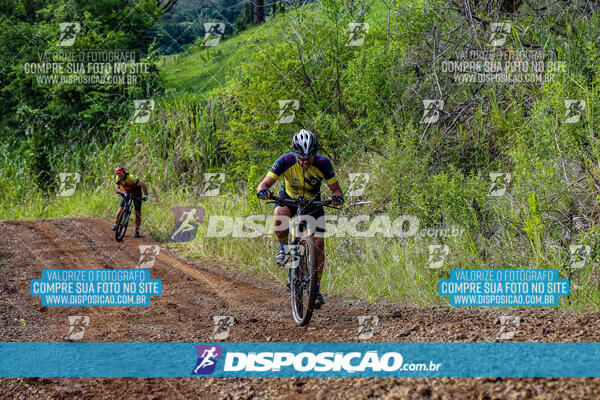 3º CIRCUITO DE PEDALADA E CAMINHADA DE MANDAGUARI