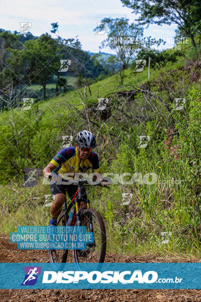 3º CIRCUITO DE PEDALADA E CAMINHADA DE MANDAGUARI