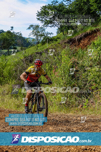 3º CIRCUITO DE PEDALADA E CAMINHADA DE MANDAGUARI