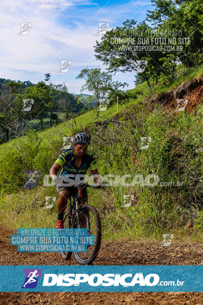 3º CIRCUITO DE PEDALADA E CAMINHADA DE MANDAGUARI