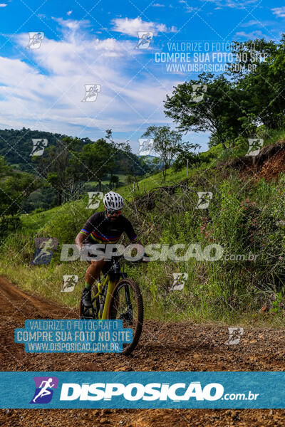 3º CIRCUITO DE PEDALADA E CAMINHADA DE MANDAGUARI