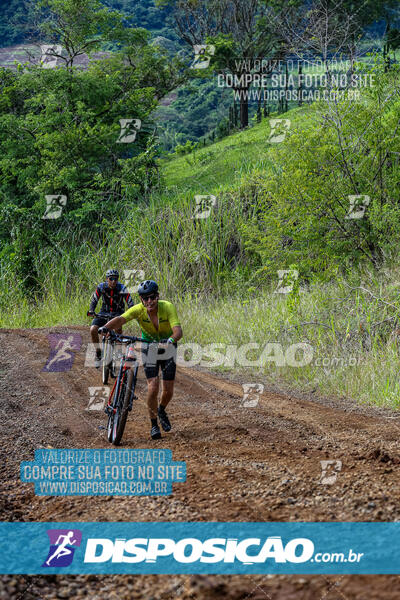 3º CIRCUITO DE PEDALADA E CAMINHADA DE MANDAGUARI