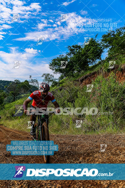 3º CIRCUITO DE PEDALADA E CAMINHADA DE MANDAGUARI