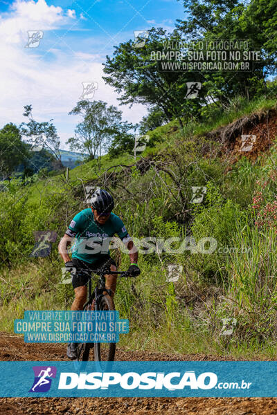 3º CIRCUITO DE PEDALADA E CAMINHADA DE MANDAGUARI