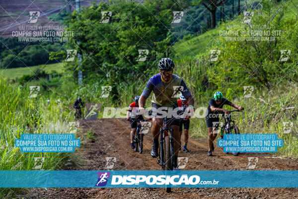 3º CIRCUITO DE PEDALADA E CAMINHADA DE MANDAGUARI