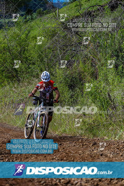 3º CIRCUITO DE PEDALADA E CAMINHADA DE MANDAGUARI