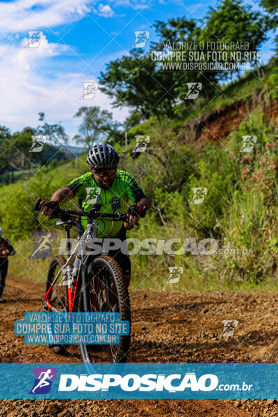 3º CIRCUITO DE PEDALADA E CAMINHADA DE MANDAGUARI