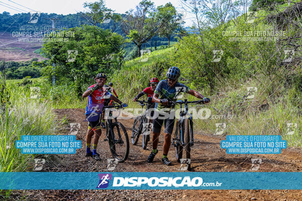 3º CIRCUITO DE PEDALADA E CAMINHADA DE MANDAGUARI