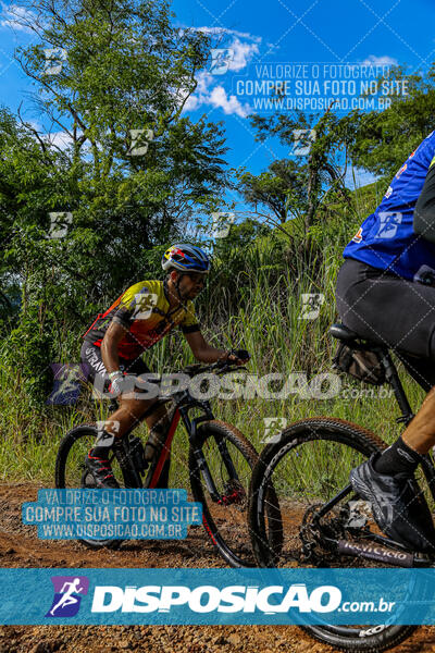 3º CIRCUITO DE PEDALADA E CAMINHADA DE MANDAGUARI