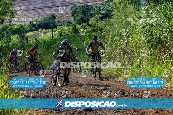 3º CIRCUITO DE PEDALADA E CAMINHADA DE MANDAGUARI