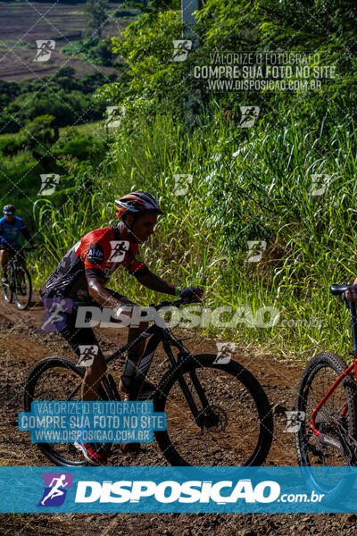 3º CIRCUITO DE PEDALADA E CAMINHADA DE MANDAGUARI