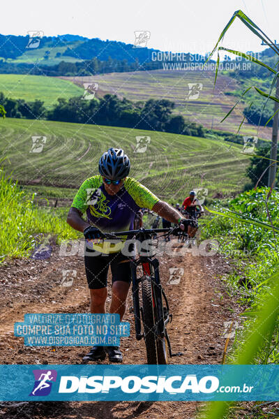 3º CIRCUITO DE PEDALADA E CAMINHADA DE MANDAGUARI