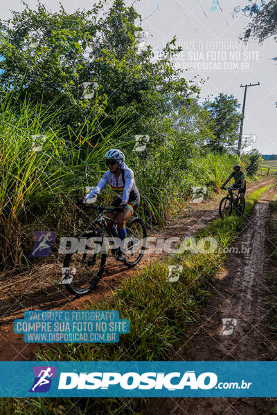 3º CIRCUITO DE PEDALADA E CAMINHADA DE MANDAGUARI