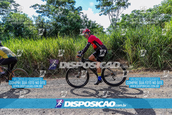 3º CIRCUITO DE PEDALADA E CAMINHADA DE MANDAGUARI