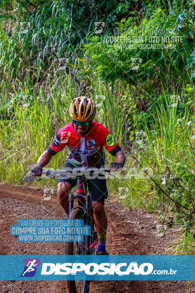 3º CIRCUITO DE PEDALADA E CAMINHADA DE MANDAGUARI