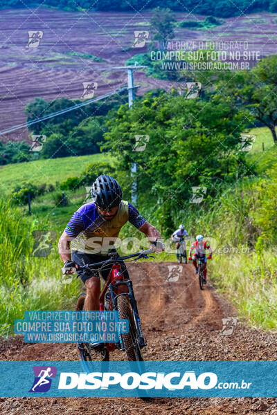 3º CIRCUITO DE PEDALADA E CAMINHADA DE MANDAGUARI