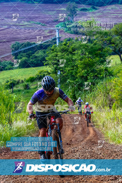 3º CIRCUITO DE PEDALADA E CAMINHADA DE MANDAGUARI