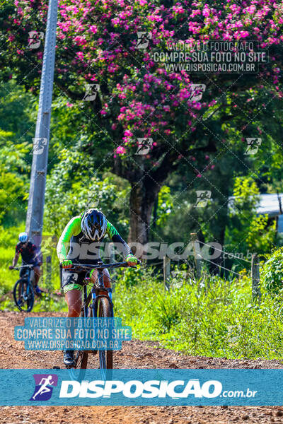 3º CIRCUITO DE PEDALADA E CAMINHADA DE MANDAGUARI