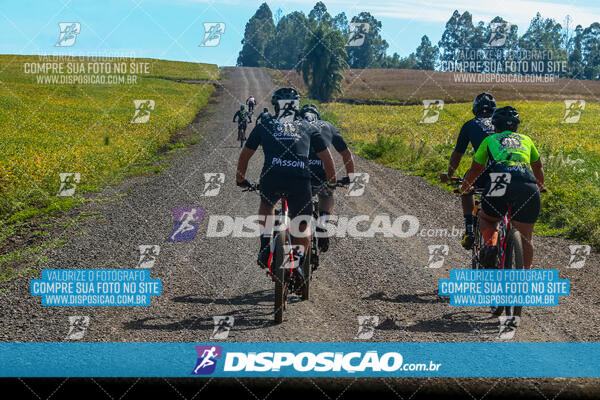 3º CIRCUITO DE PEDALADA E CAMINHADA DE MANDAGUARI