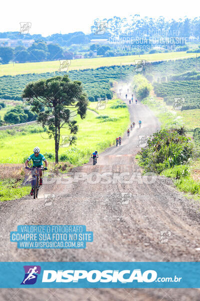 3º CIRCUITO DE PEDALADA E CAMINHADA DE MANDAGUARI