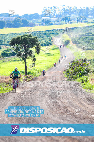 3º CIRCUITO DE PEDALADA E CAMINHADA DE MANDAGUARI