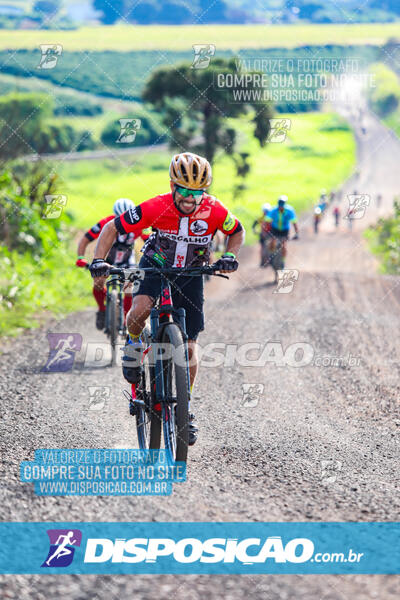 3º CIRCUITO DE PEDALADA E CAMINHADA DE MANDAGUARI