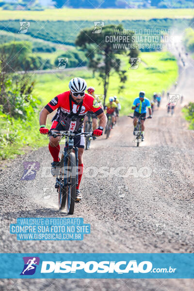 3º CIRCUITO DE PEDALADA E CAMINHADA DE MANDAGUARI