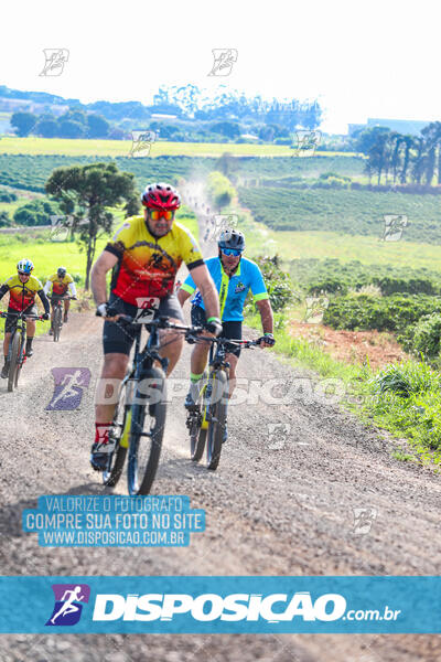 3º CIRCUITO DE PEDALADA E CAMINHADA DE MANDAGUARI