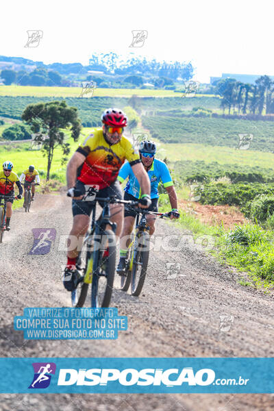 3º CIRCUITO DE PEDALADA E CAMINHADA DE MANDAGUARI