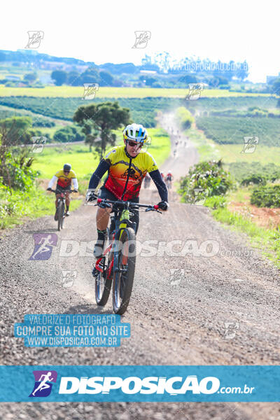 3º CIRCUITO DE PEDALADA E CAMINHADA DE MANDAGUARI