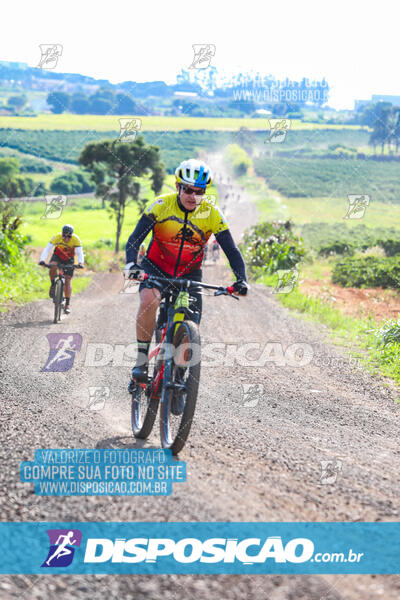 3º CIRCUITO DE PEDALADA E CAMINHADA DE MANDAGUARI